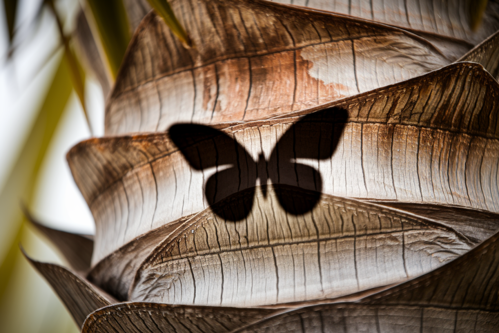 Papillon du Palmier : Xylophène comme Traitement et Solution